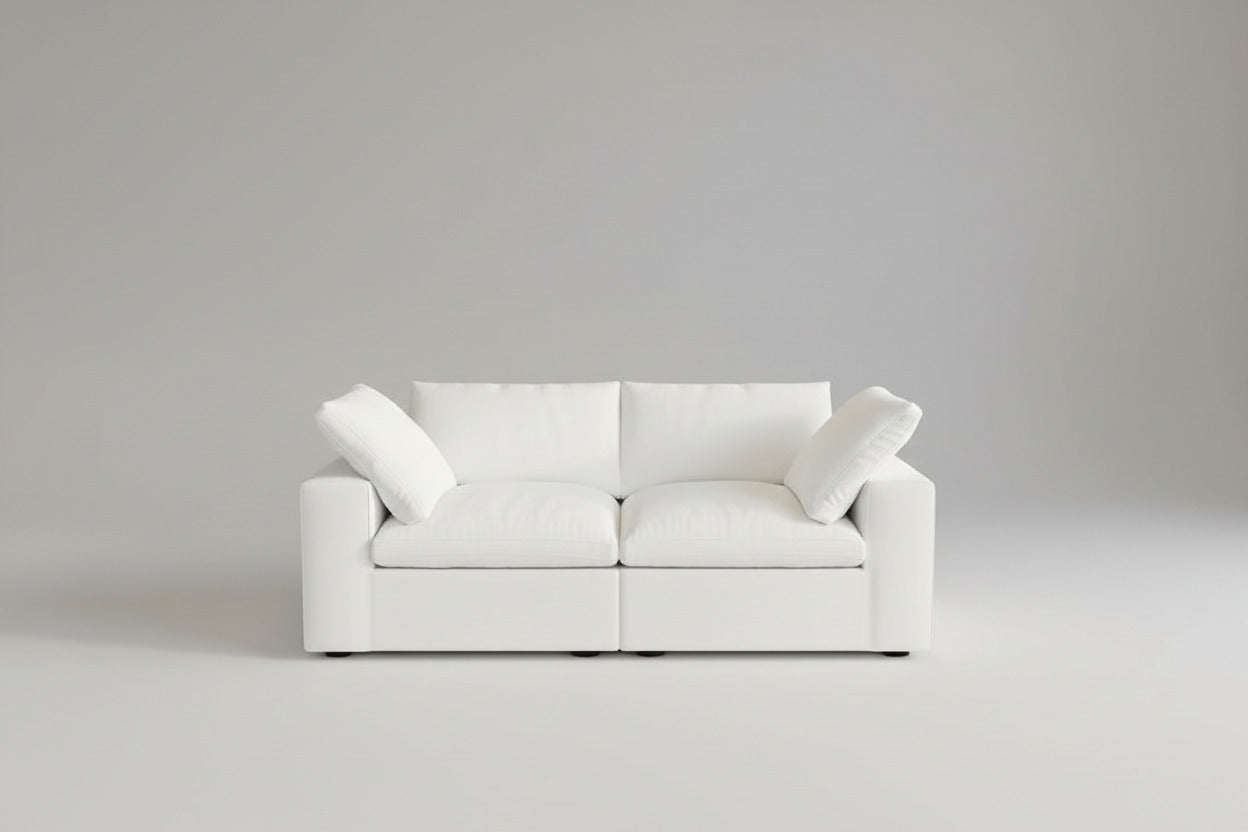 2-Piece Cloud Couch Modular Sofa
